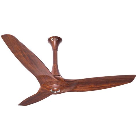 Wooden Fan Price